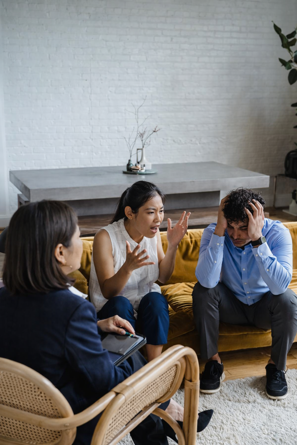 chatgpt image 21 feb 2026, 12 03 38 p.m.